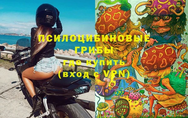 шишки Алексеевка