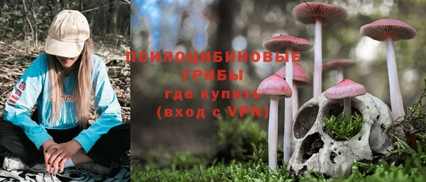 не бодяженный Алзамай