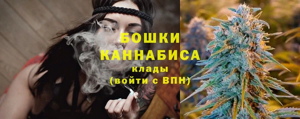 шишки Алексеевка